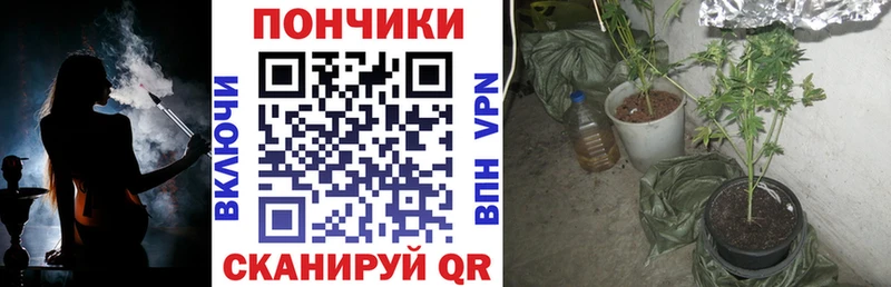 Марихуана гибрид  Велиж 